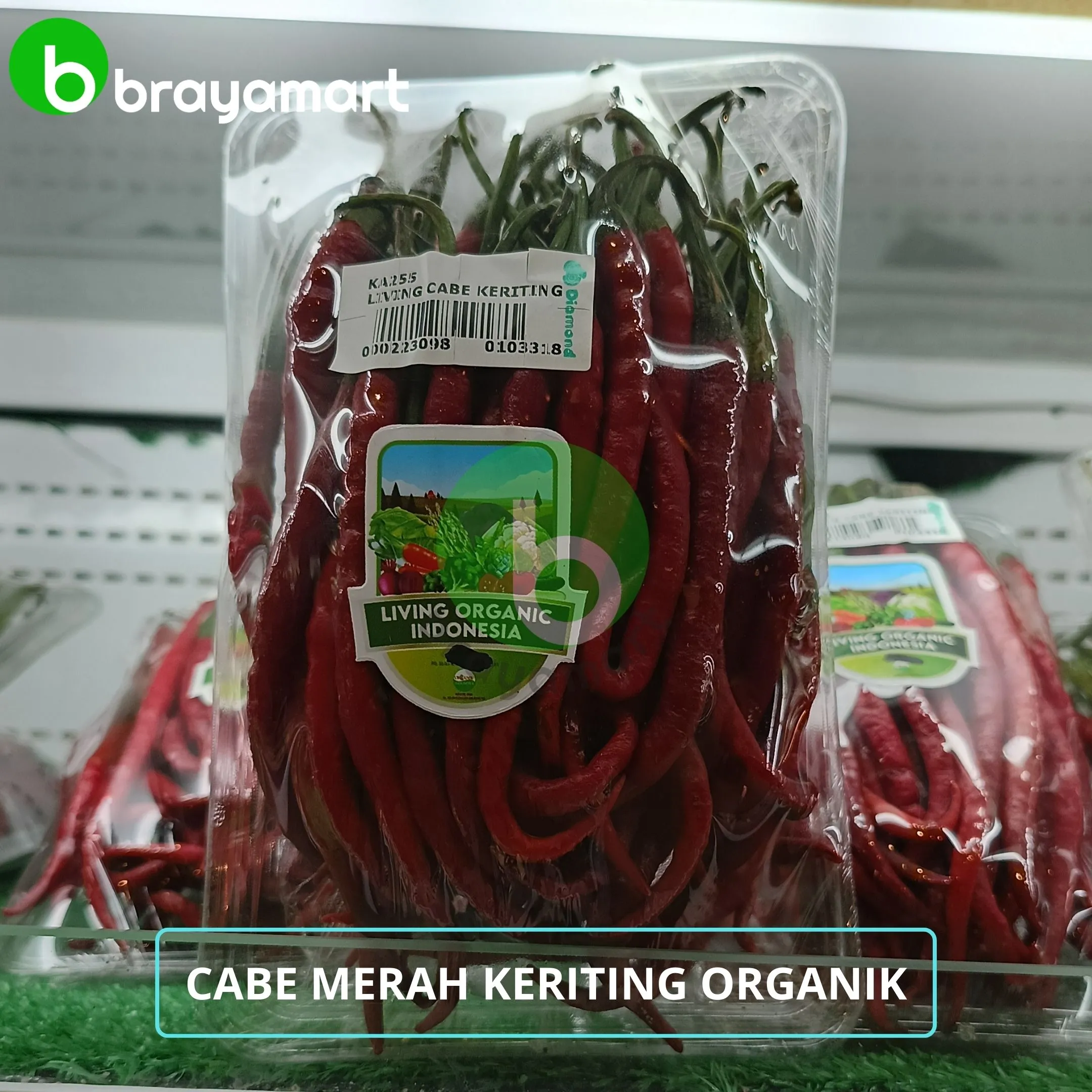 'living cabe keriting merah 200gr'