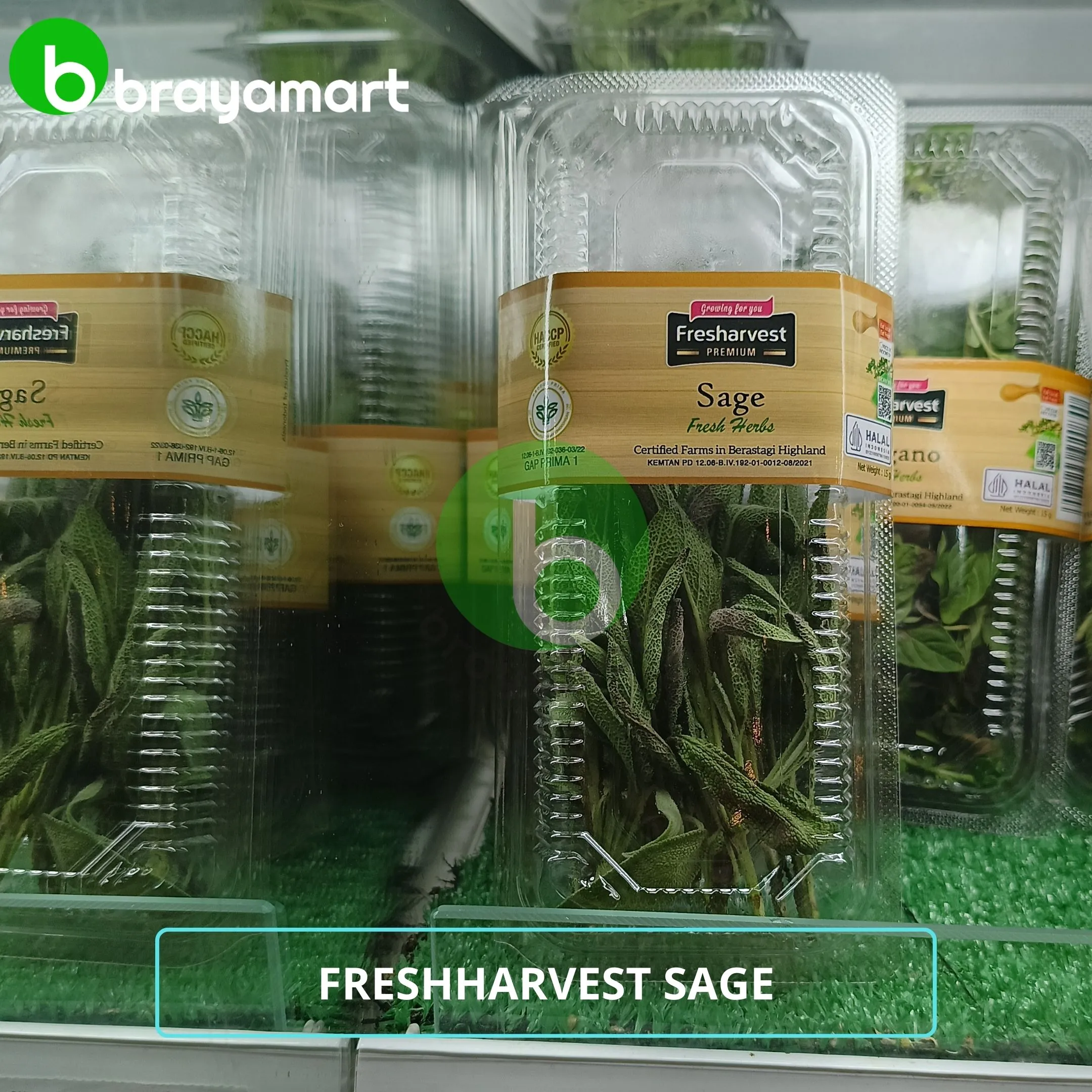 Sage (fresharvest) 15 gr