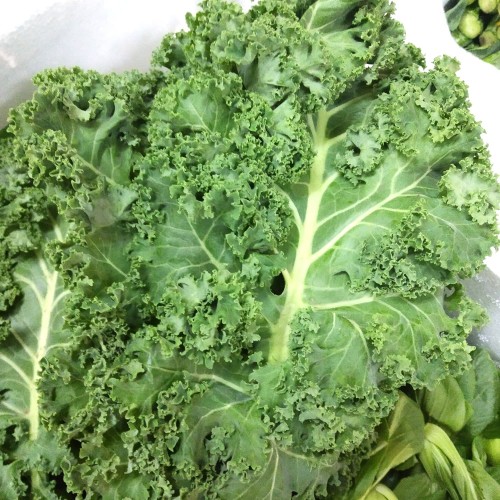 Daun kale 1kg