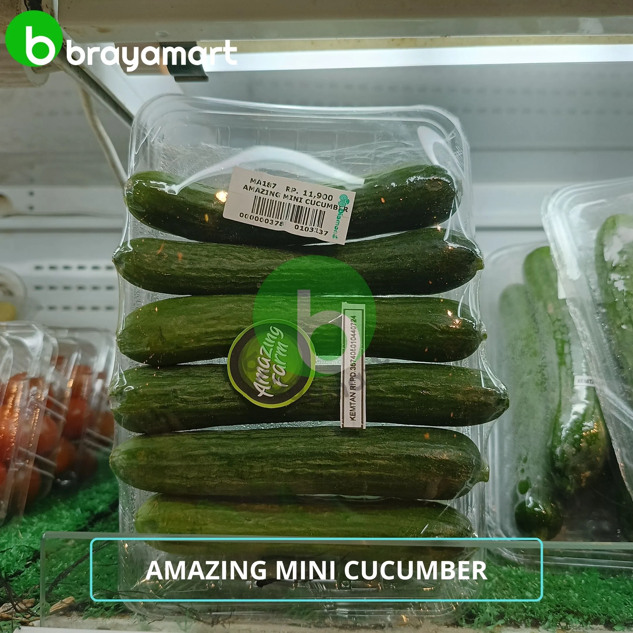 amazing mini cucumber