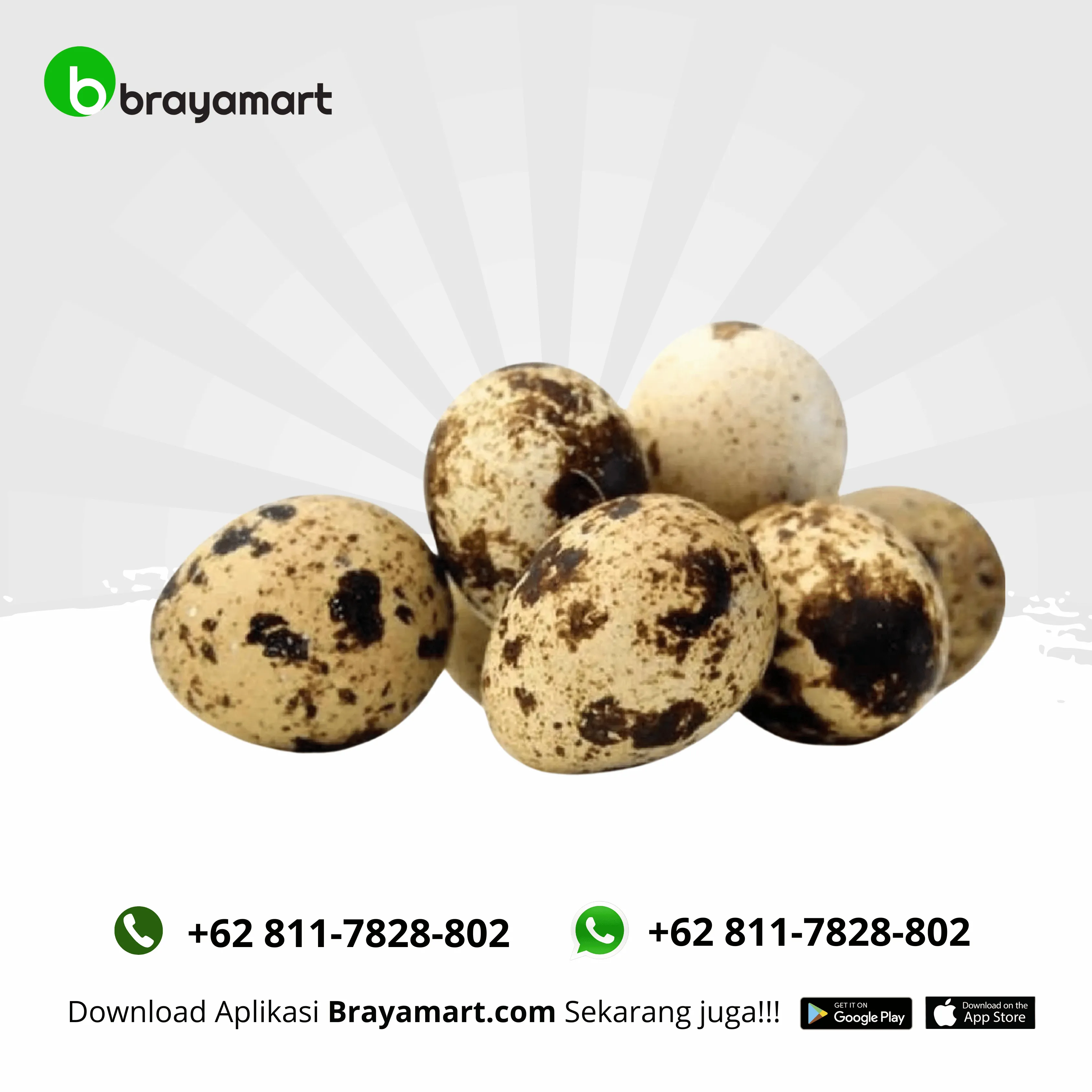 Telur Puyuh (100 Gram)
