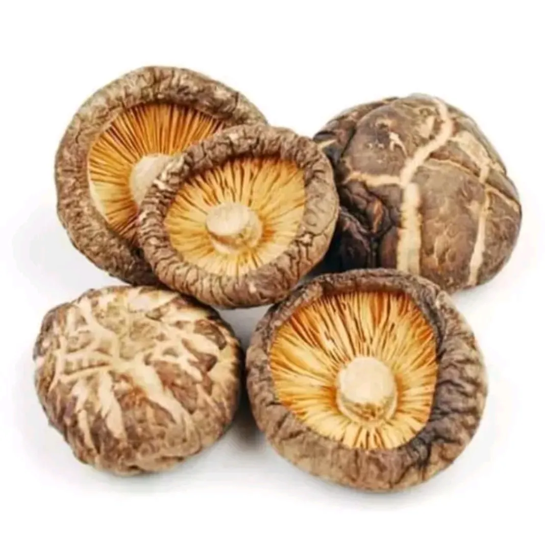 Hioko Mushrooms 100 Grams