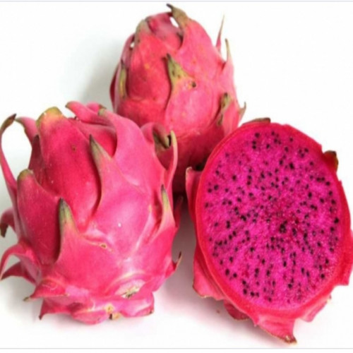 'Naga merah 500gr'