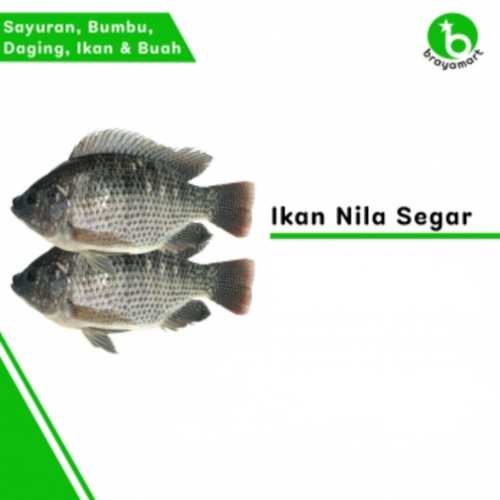 'Ikan Nila 1kg'