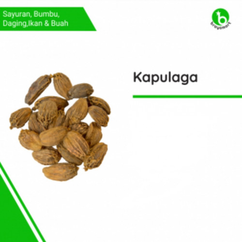 'Kapulaga 250gr'