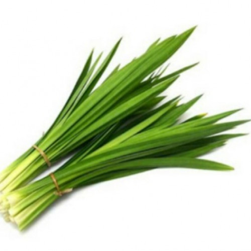 'Daun pandan wangi 500gr'