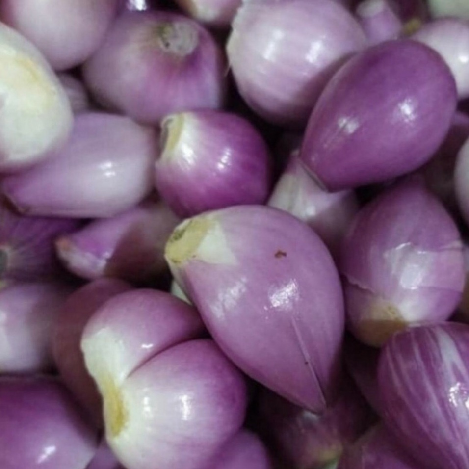 'Bawang merah kupas 250gr'