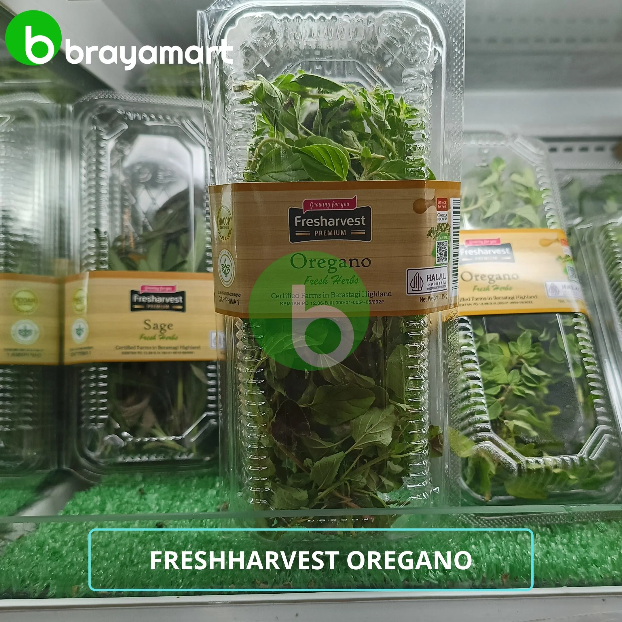 Oregano (Fresharvest) 15gr