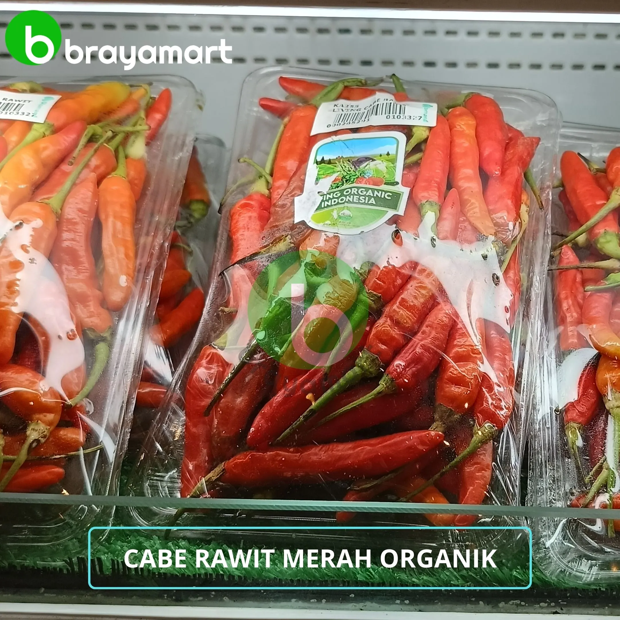 living cabe rawit merah 200gr