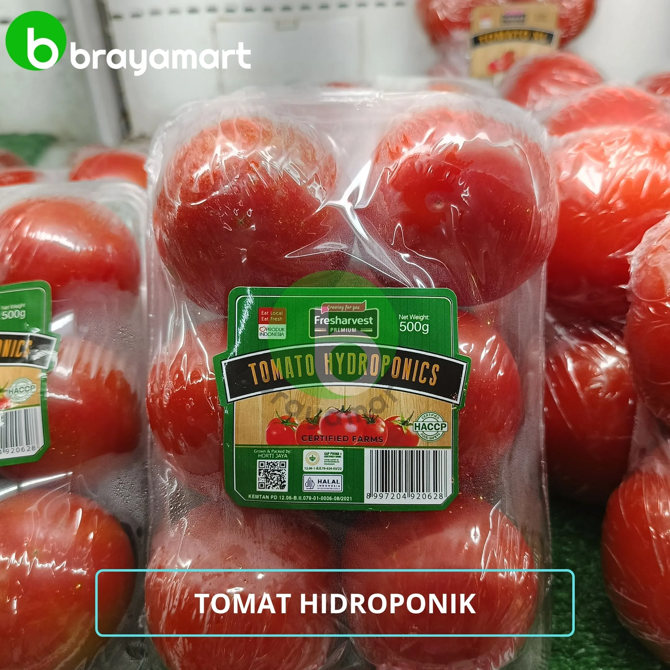 tomat hydropinic 500gr