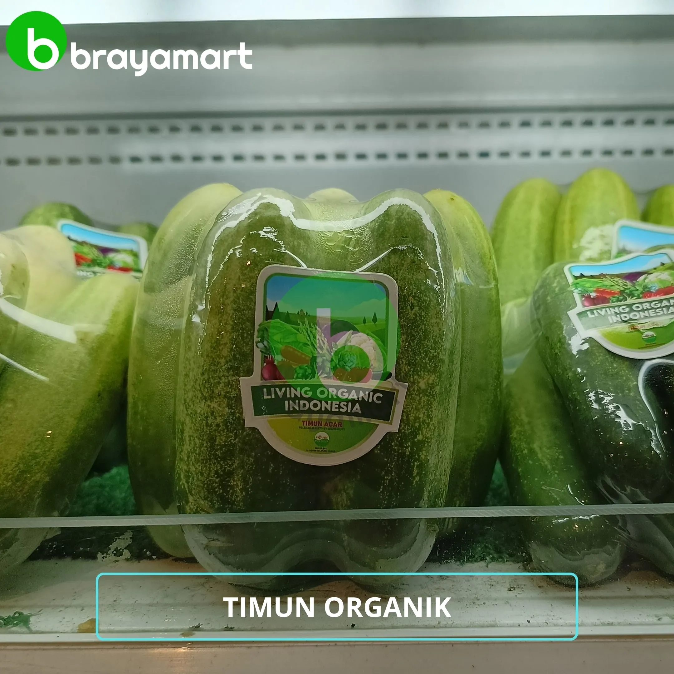 living org timun acar