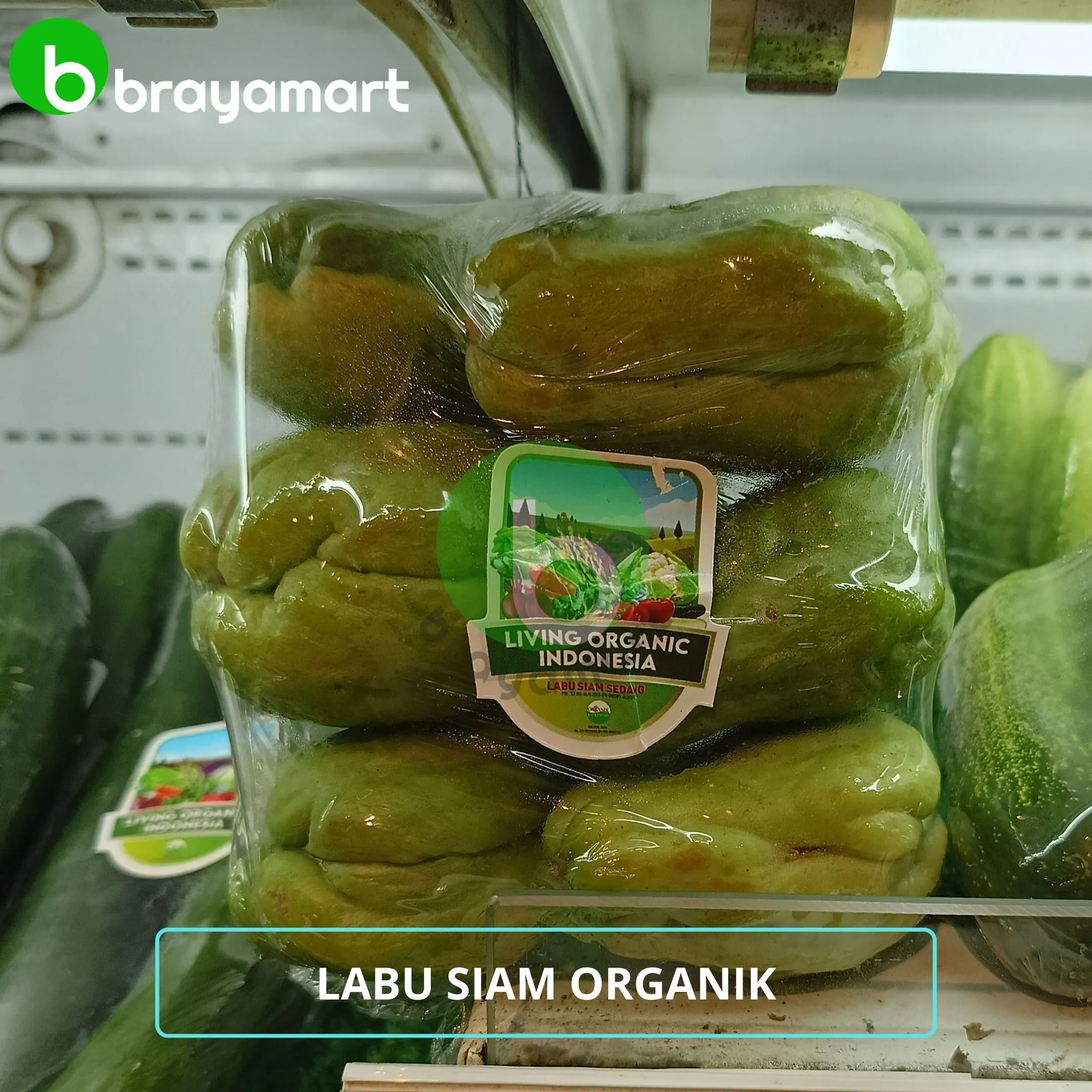 living org labu siam acar