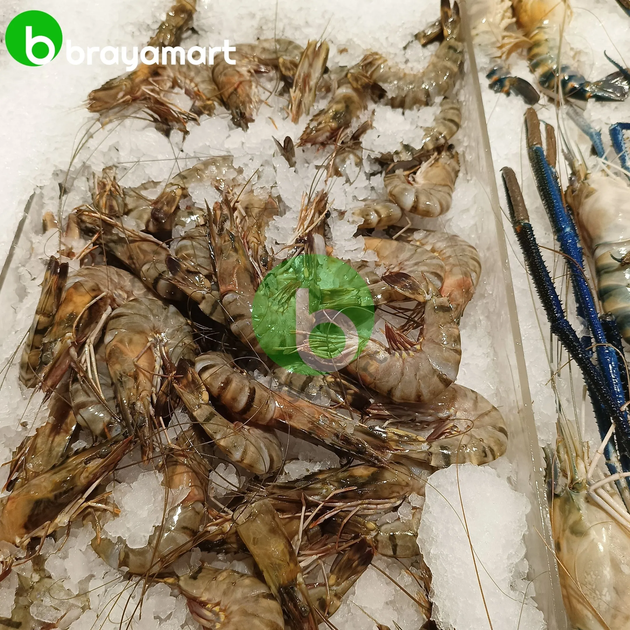 'udang pancet super'