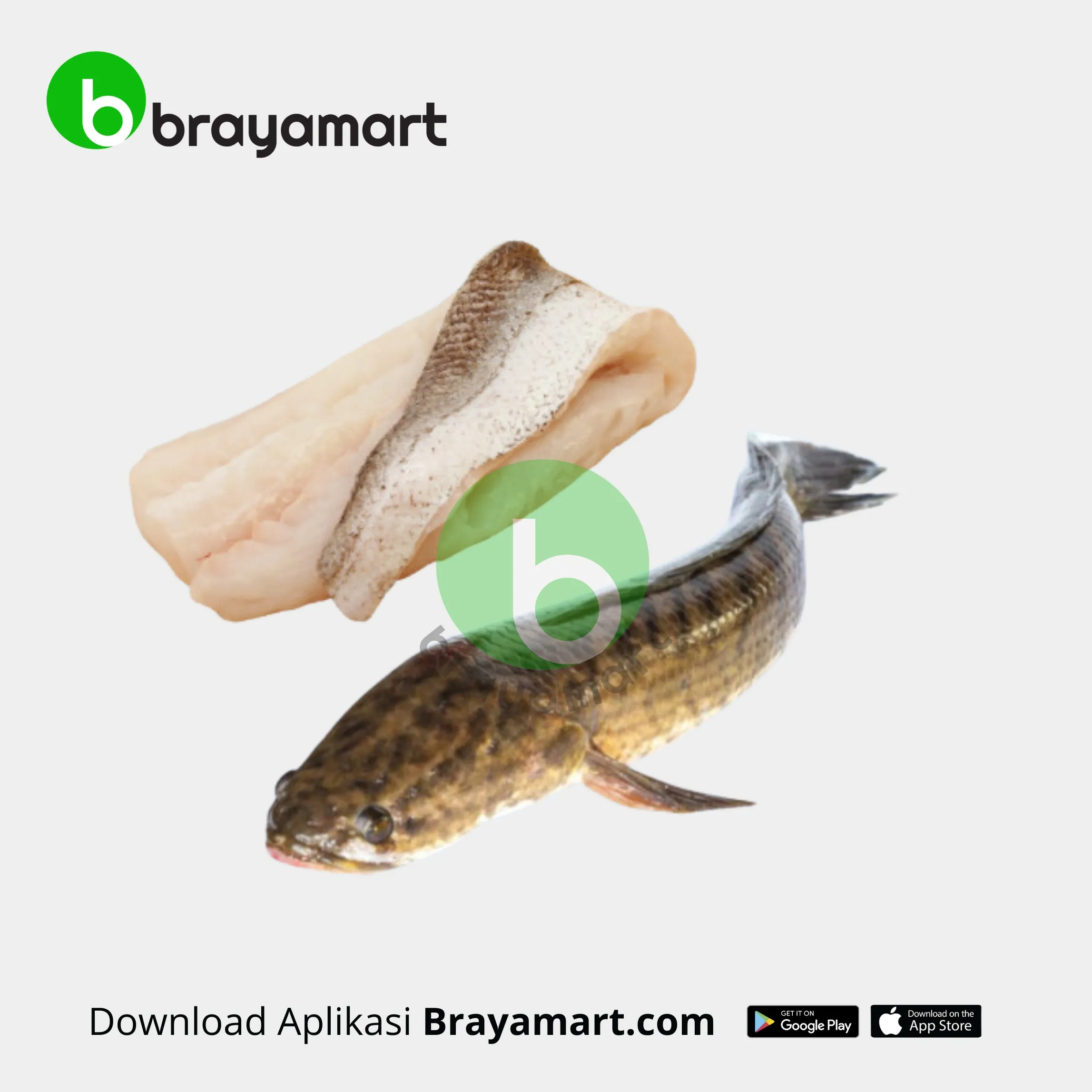 Ikan Gabus Segar (1 kg) di Fillet