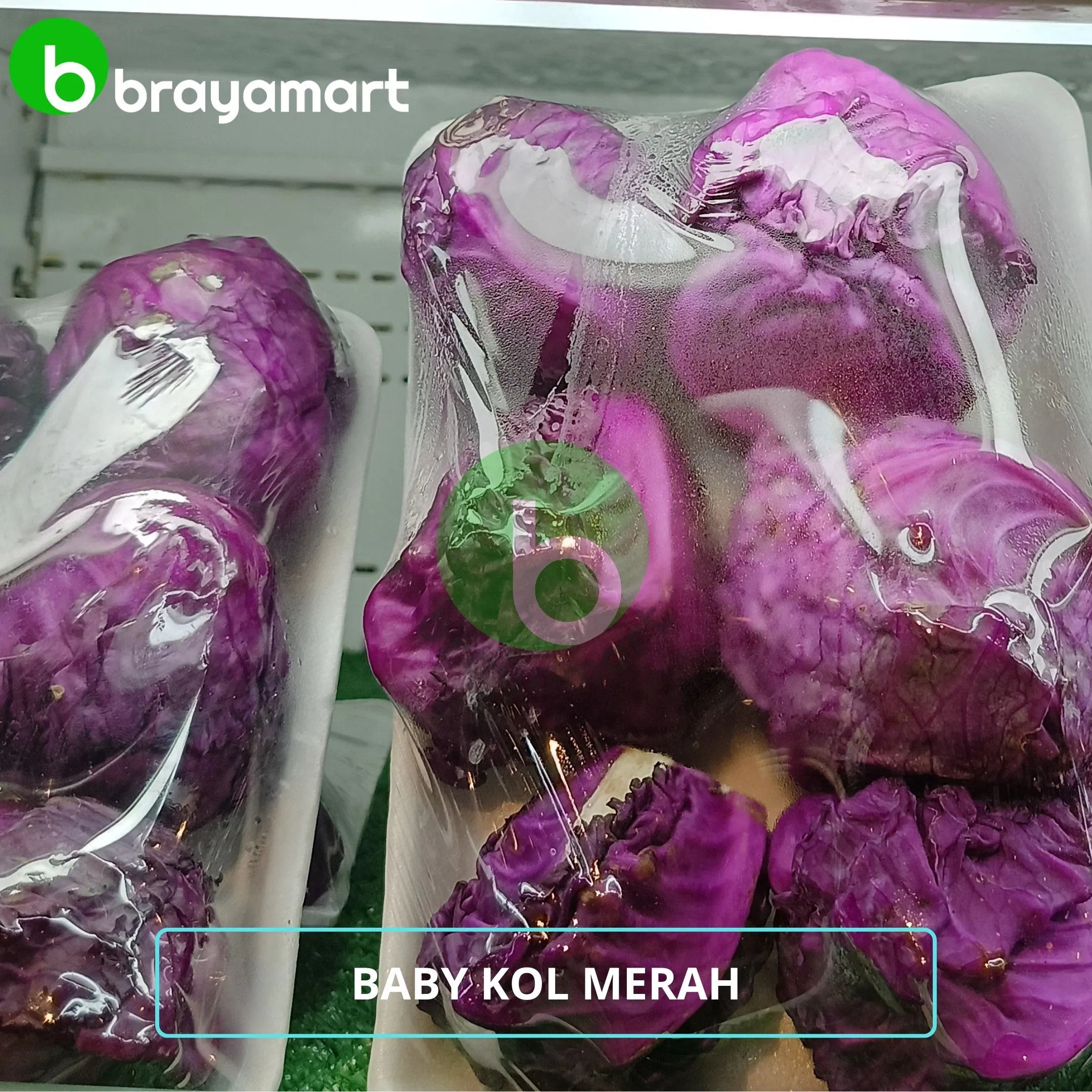 baby kol merah
