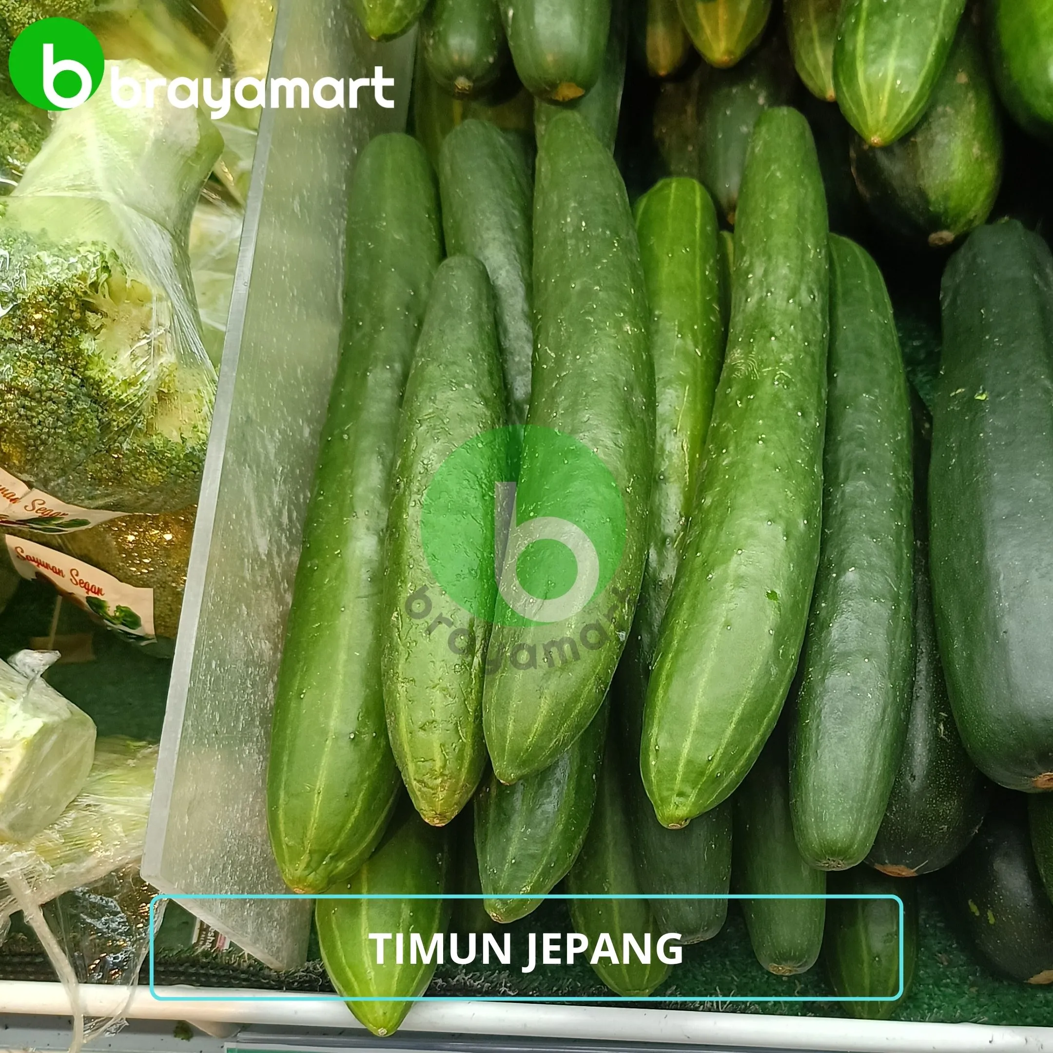 timun jepang