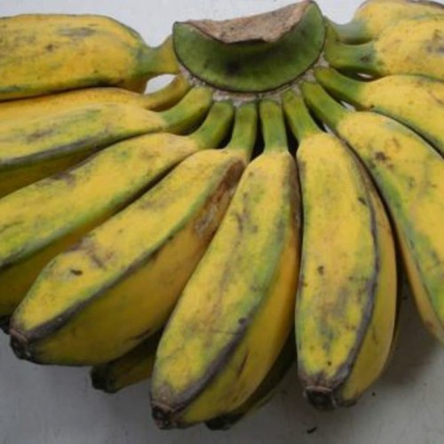 'Pisang kepok dijual per seser'