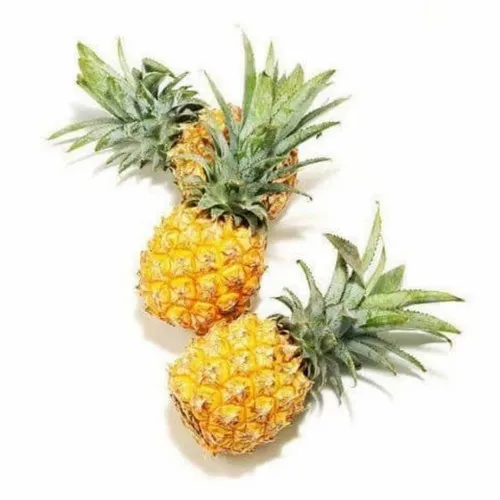 Nanas Kecil