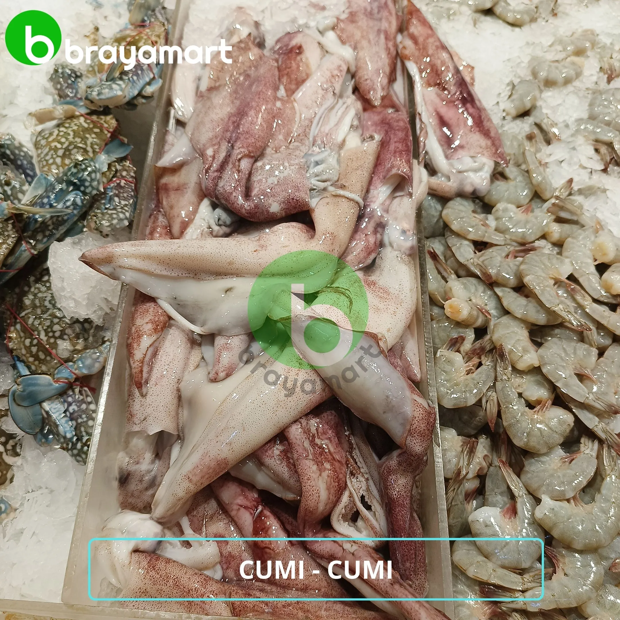 cumi cumi