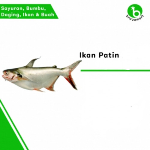 'Ikan Patin 1 kg'