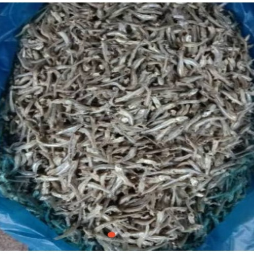 'Ikan Teri Besar 1 KG'