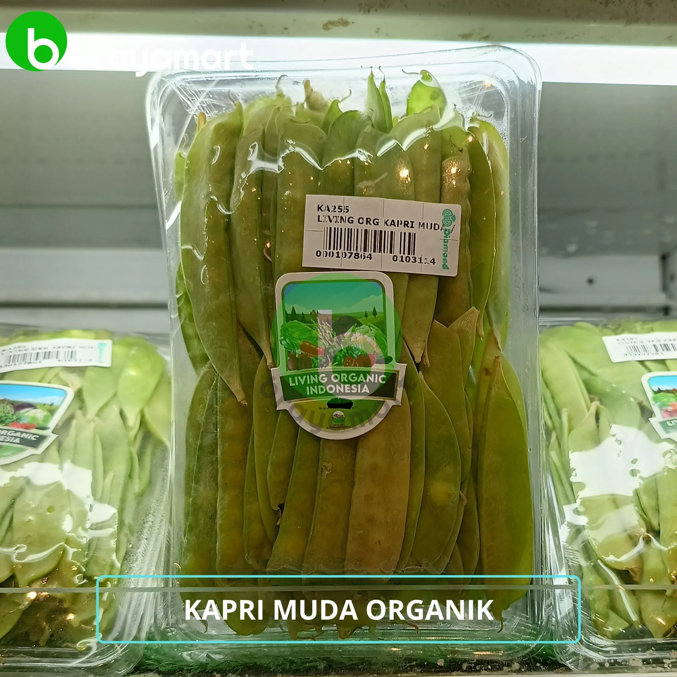 living org kapri muda