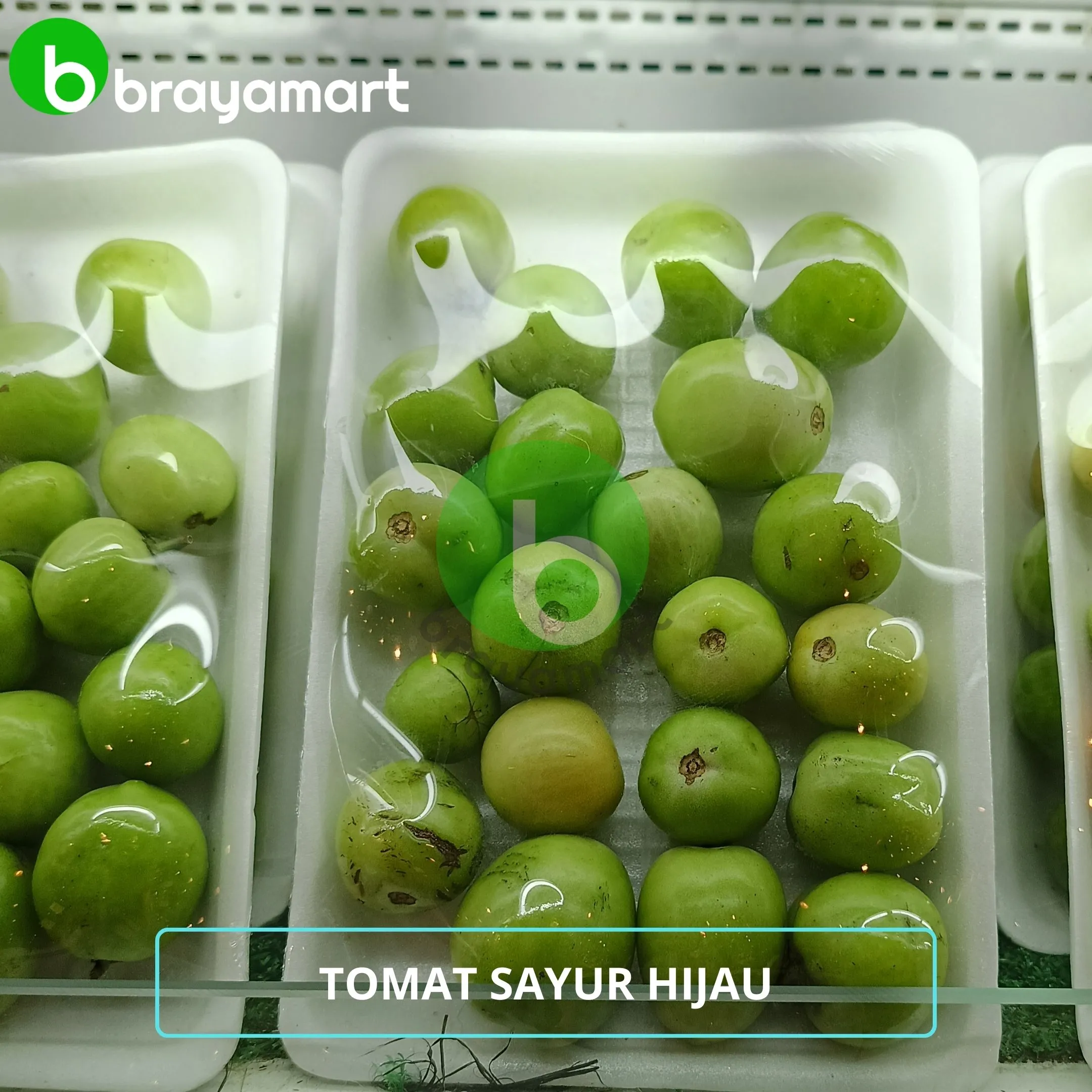 tomat sayur hijauh