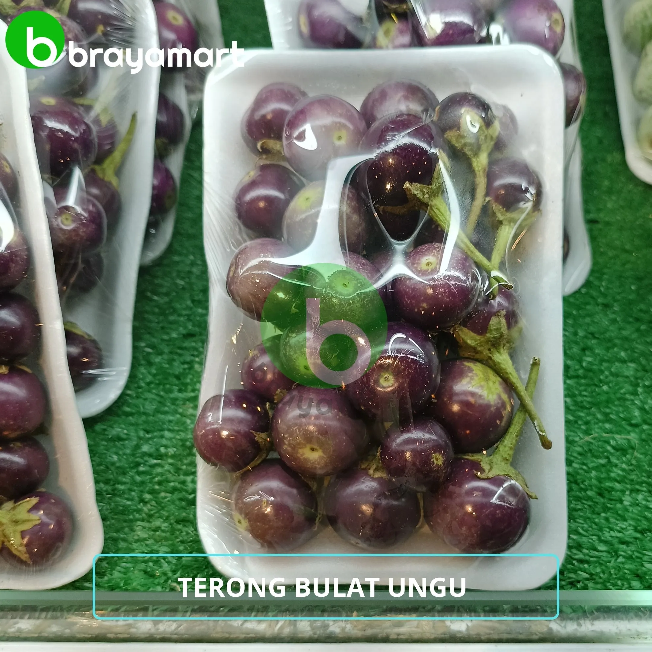 terong bulat ungu