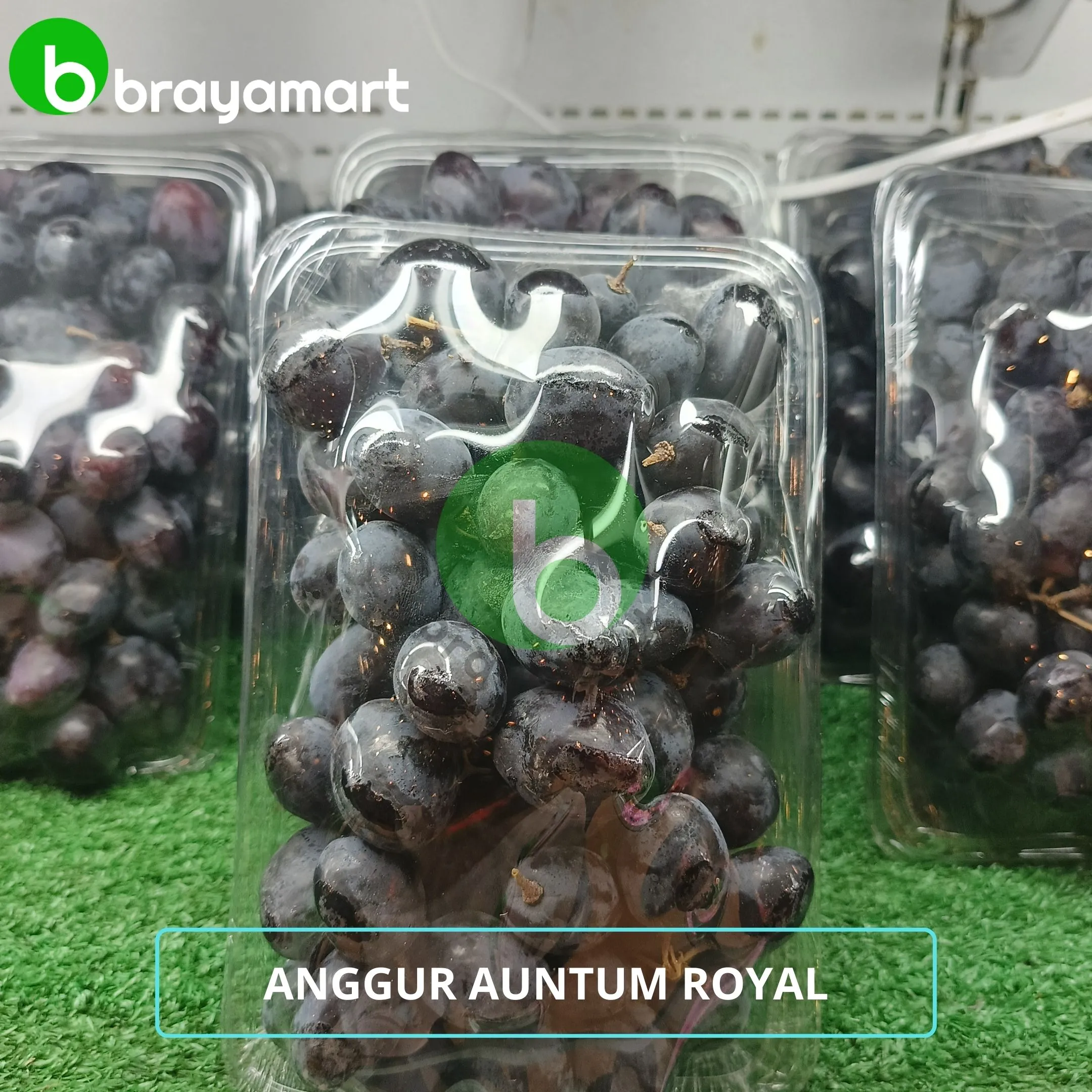 'anggur autum royal'