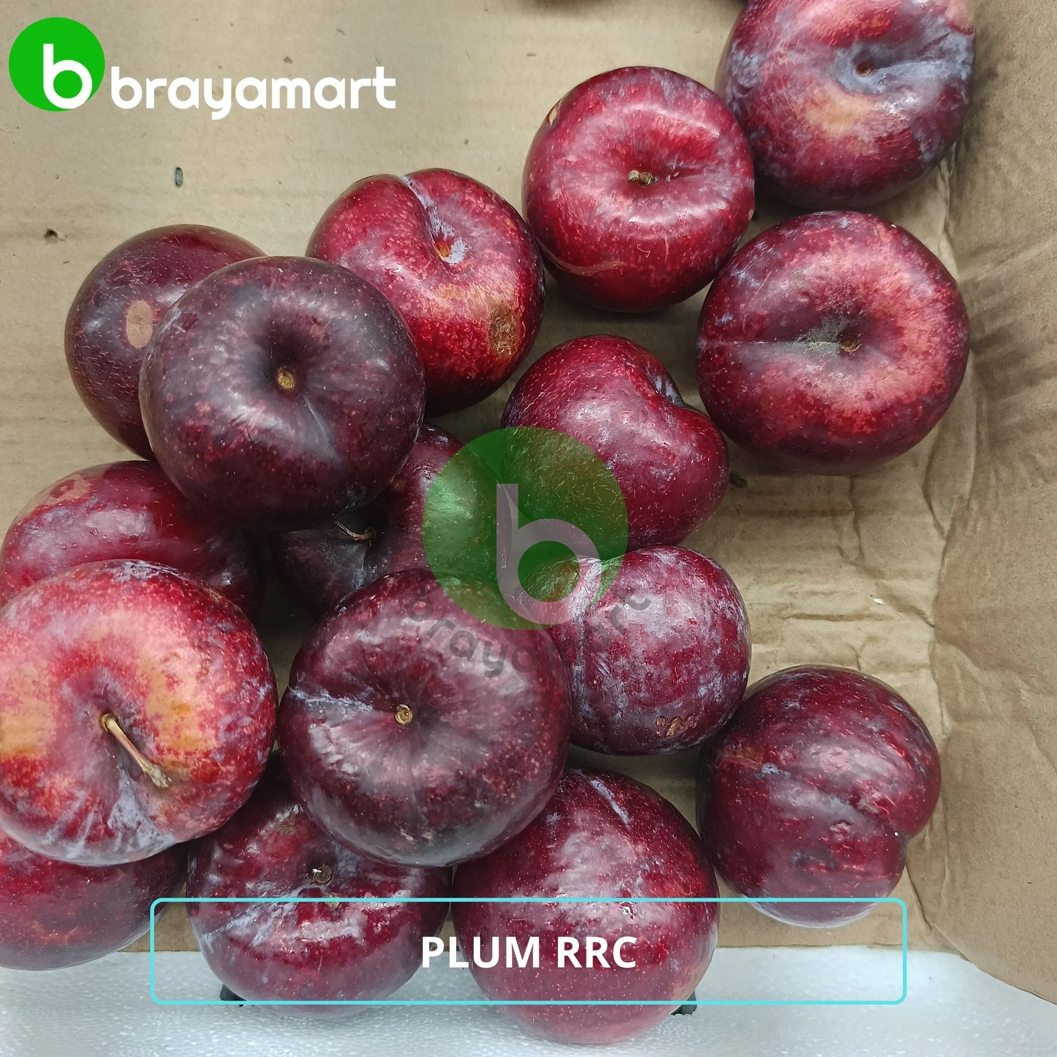 'plum rrc'