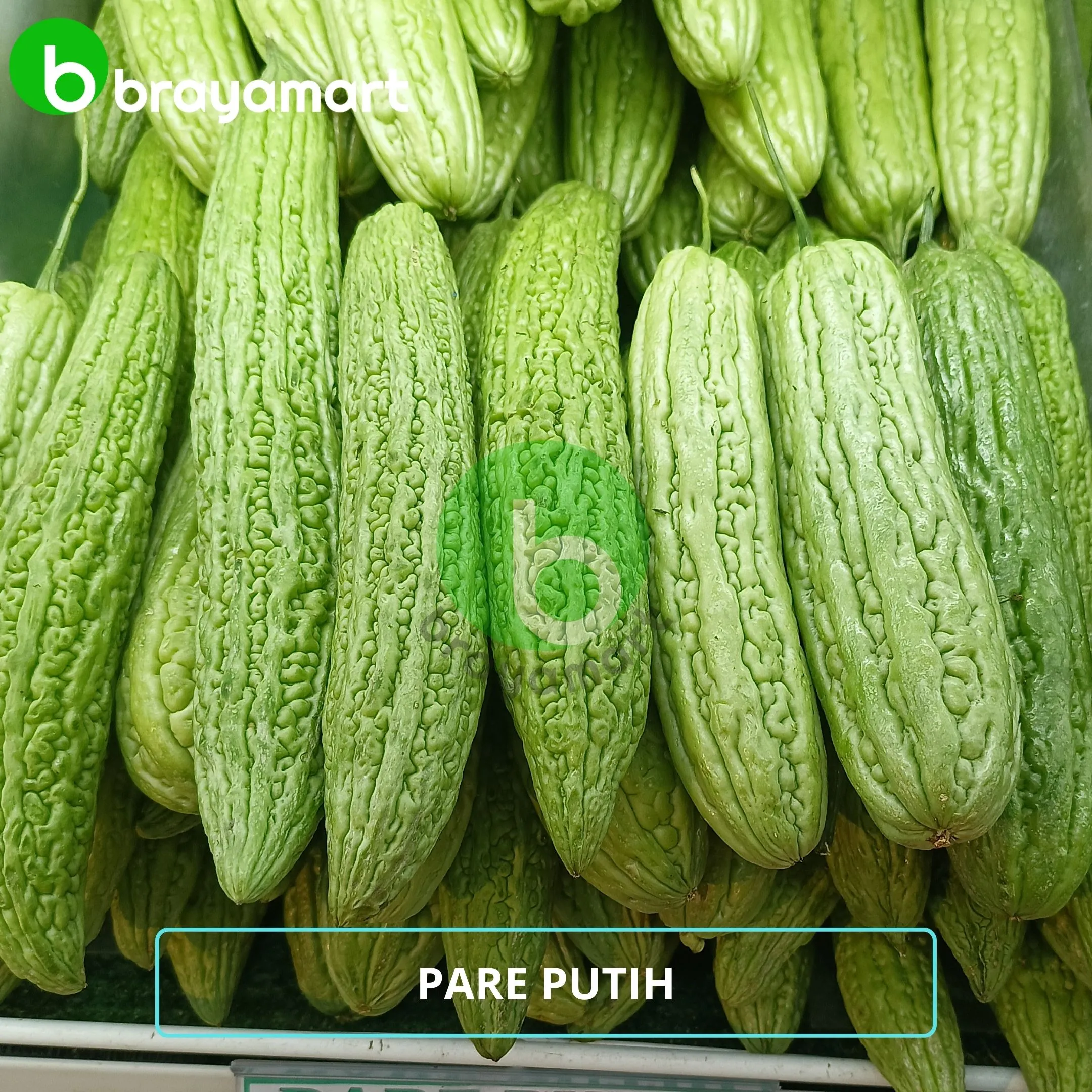'pare putih'