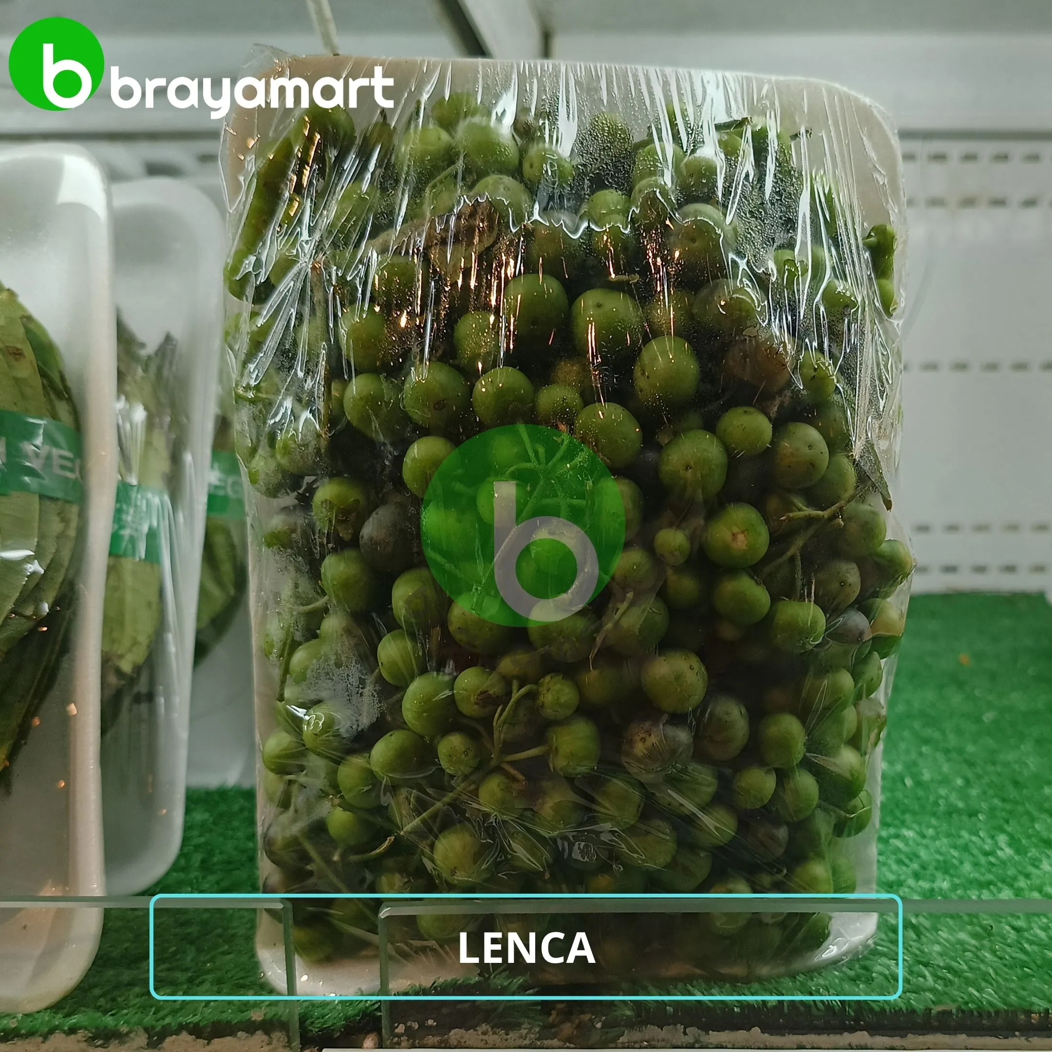 lenca
