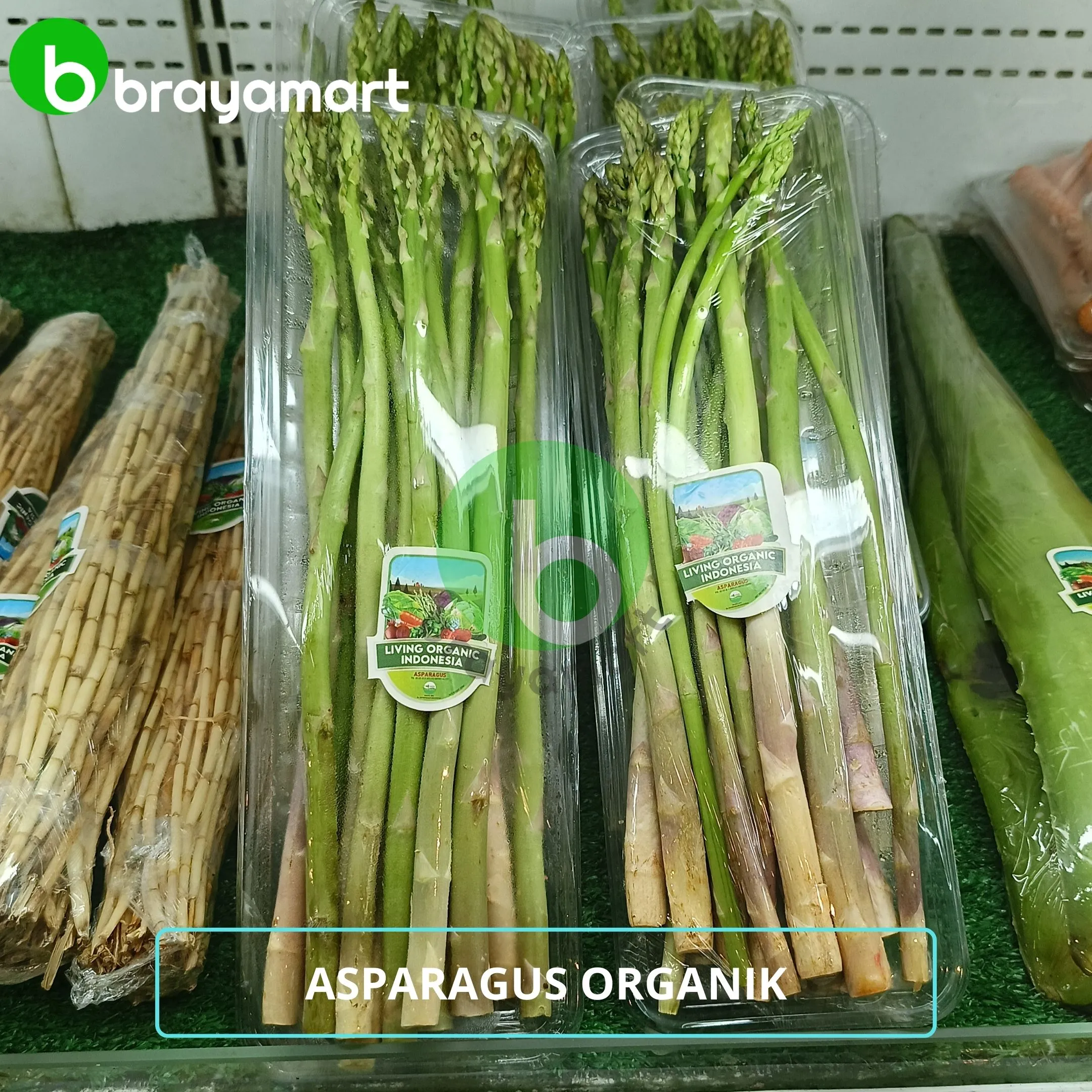 living asparagus