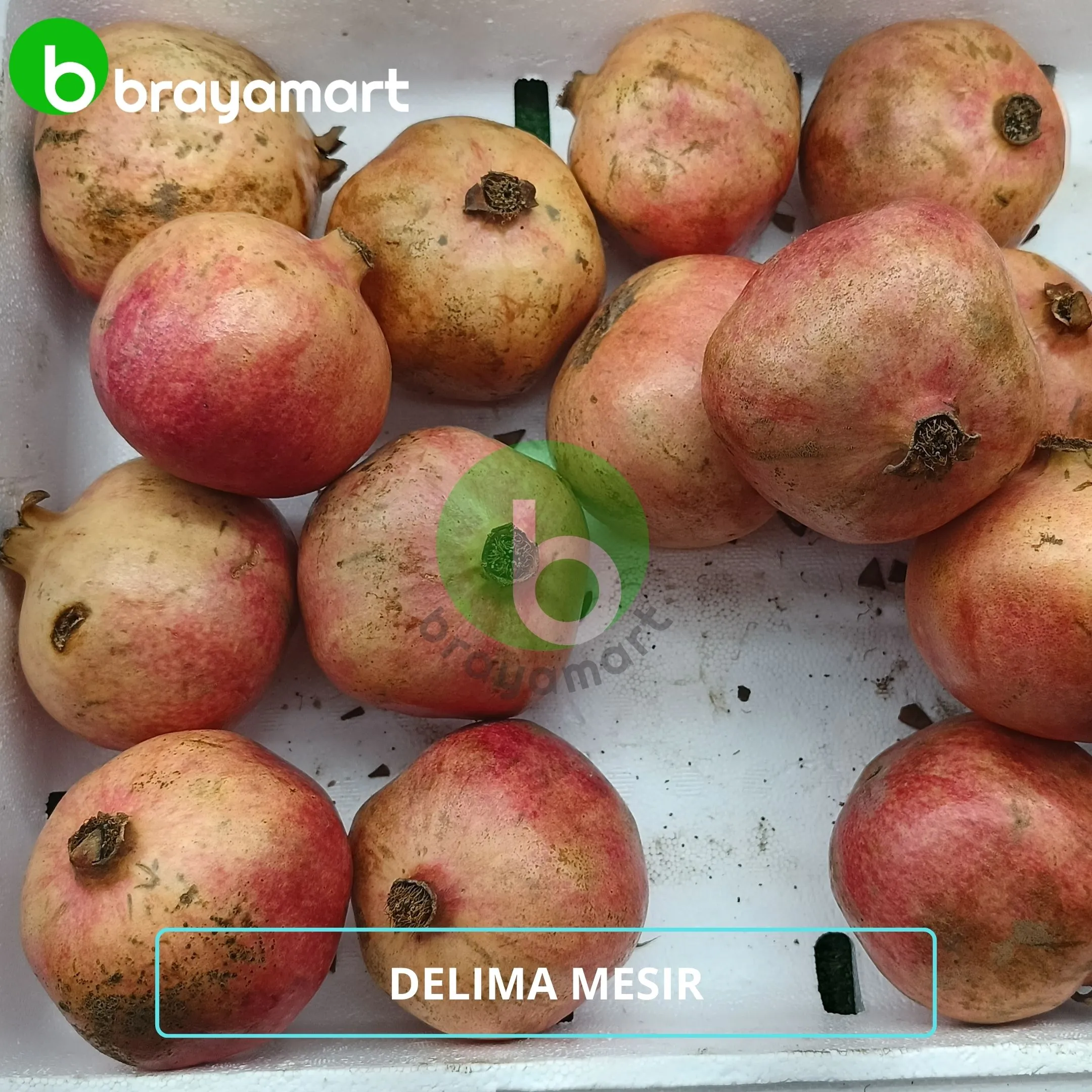delima mesir