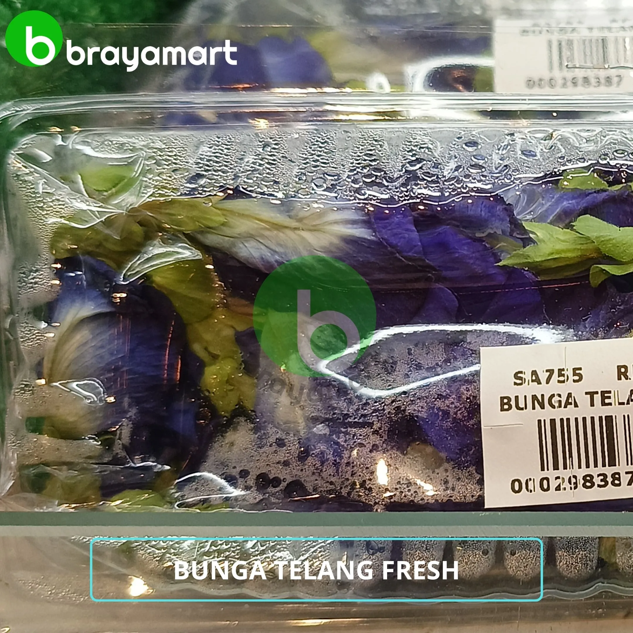 bunga telang fresh