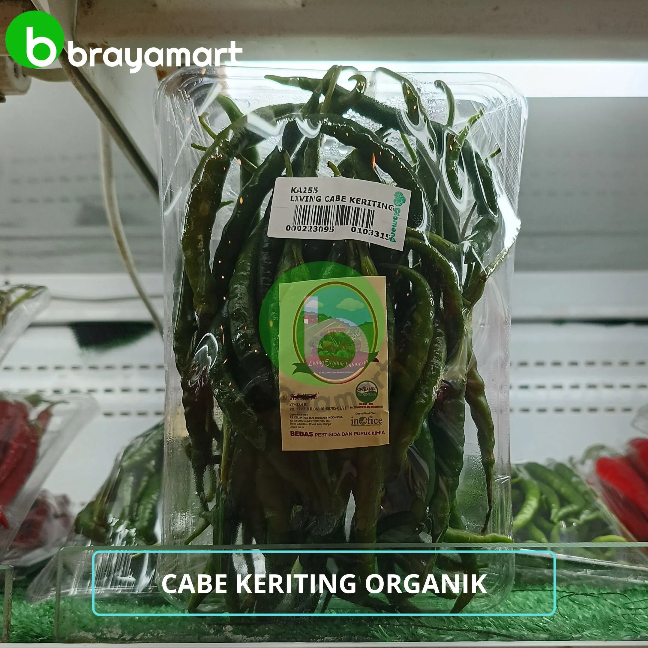 'living cabe keriting hijau 200gr'