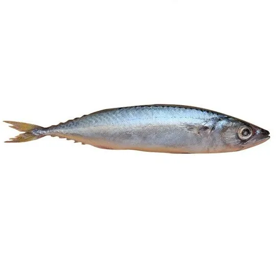 'Ikan Salam (1 kg)'