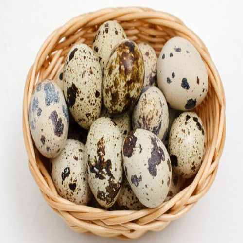 Telur Puyuh (250 gr)