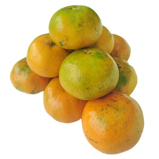 Large Sweet Orange (1 kg)