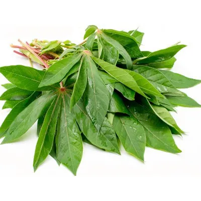 Cassava Leaves 1 Bunch