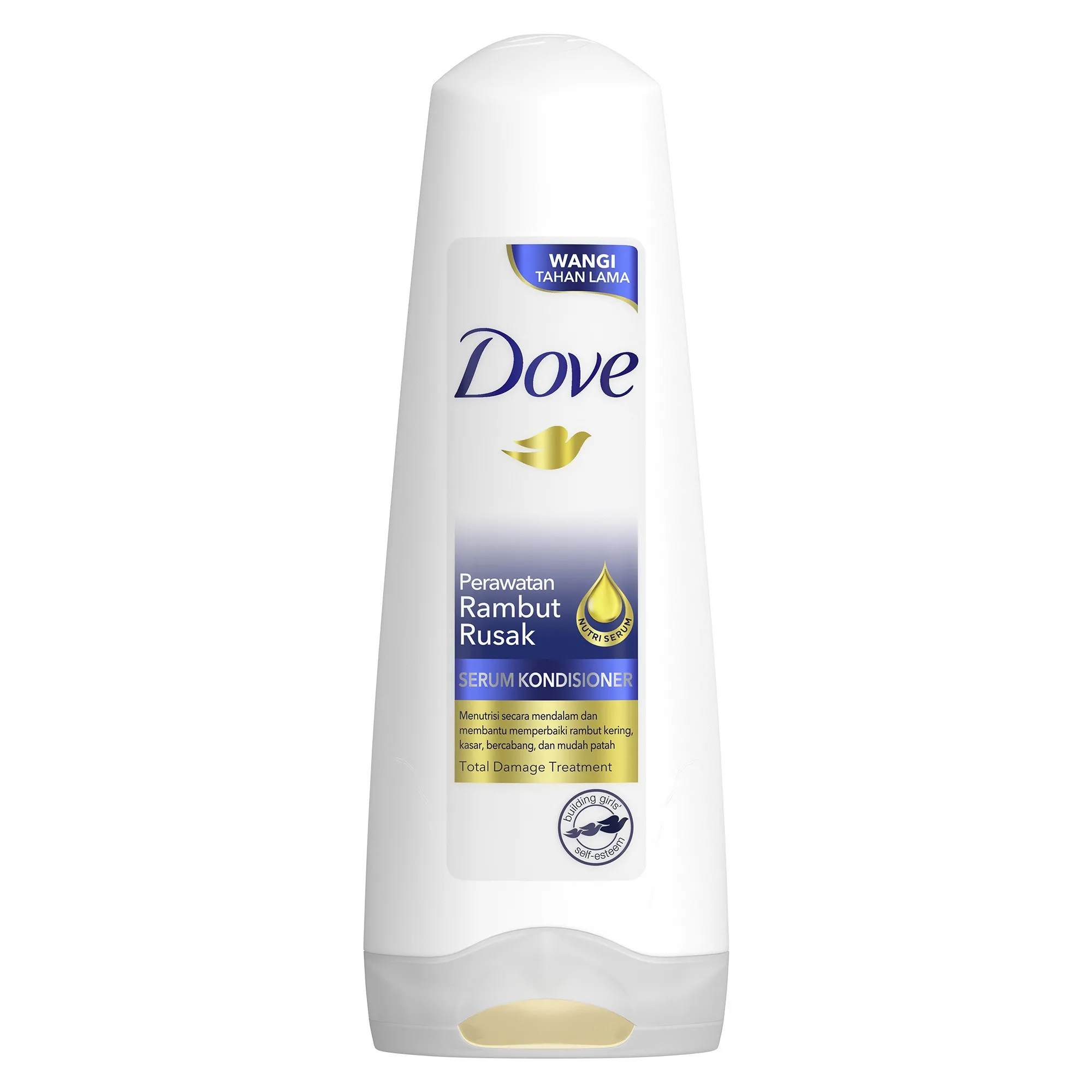 'Conditioner Dove Perawatan Rambut Rusak 160Ml'