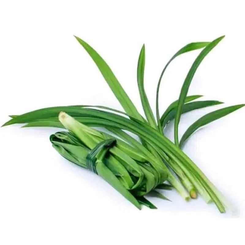 Pandan Leaves (1 Bunch)