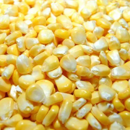 Corn Sweet Corn (1 Pack)