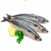 Sardines (1 kg)