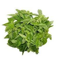 Basil (120 gr)