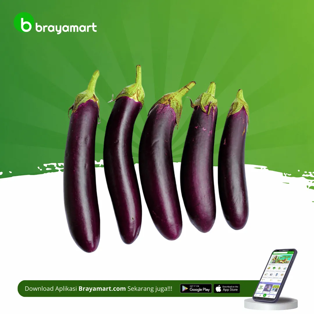 Purple Eggplant