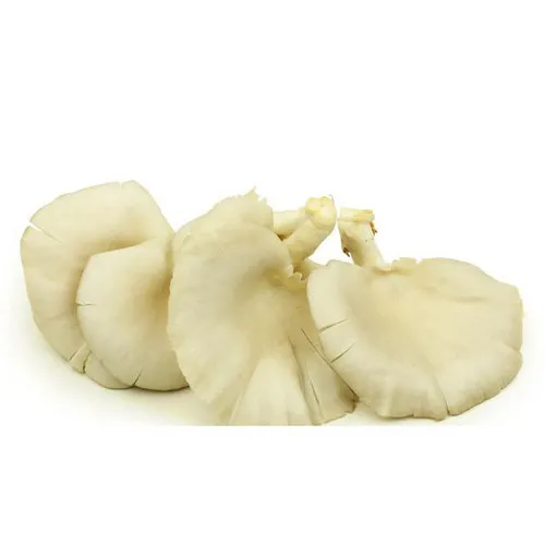 Oyster Mushrooms (100 gr)