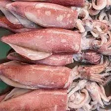 Fresh Medium Squid (100 Grams)