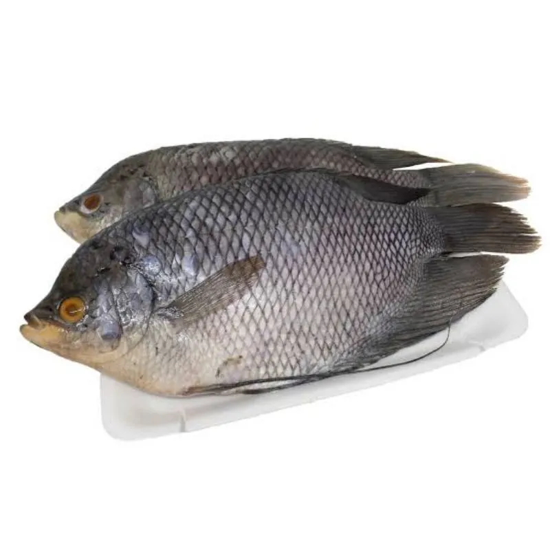 'Ikan Gurame (1 Kg)'