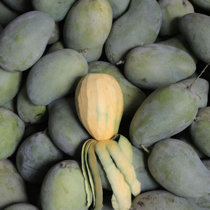 Small Sweet Fragrant Mango 100 Grams